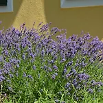 Wastlhof Am Kreischberg Apartment