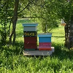Wastlhof Am Kreischberg