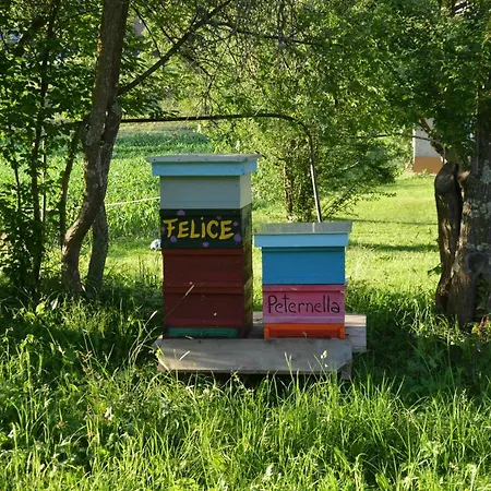 Wastlhof Am Kreischberg