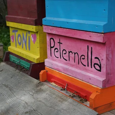 Apartamento Wastlhof Am Kreischberg Lutzmannsdorf