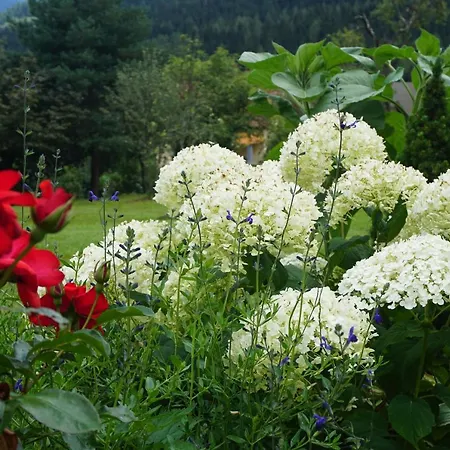 Wastlhof Am Kreischberg *