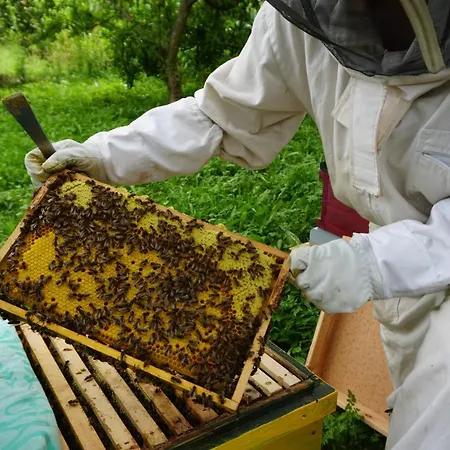 Wastlhof Am Kreischberg * Lutzmannsdorf