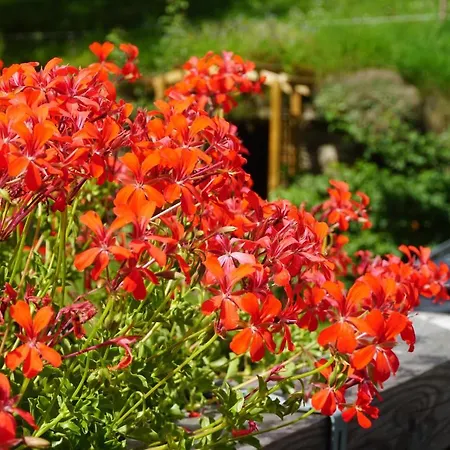 Wastlhof Am Kreischberg