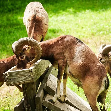 Wastlhof Am Kreischberg Apartamento