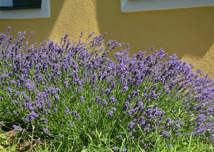 Wastlhof Am Kreischberg Appartement