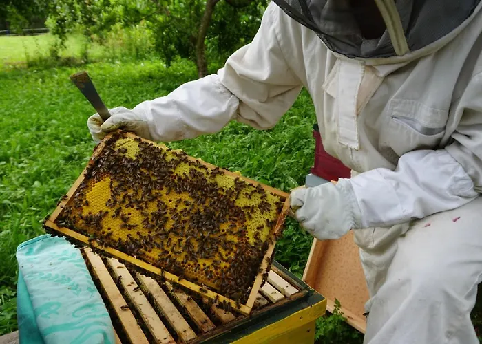 Wastlhof Am Kreischberg * Lutzmannsdorf