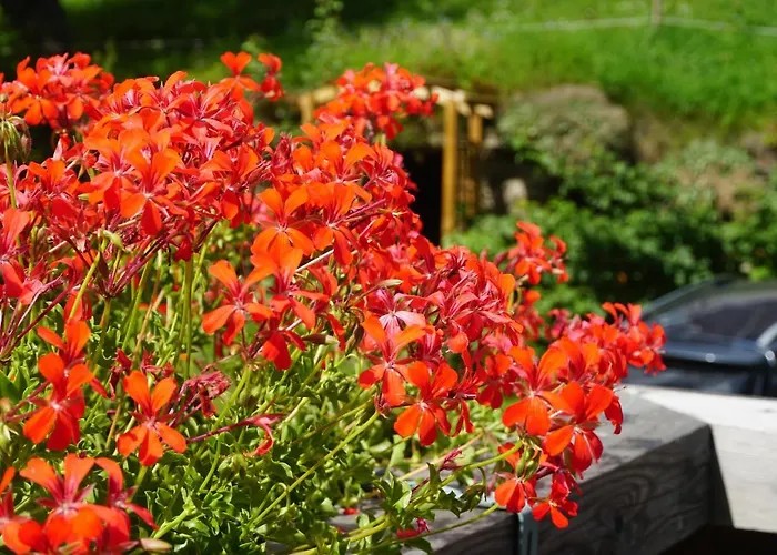 Wastlhof Am Kreischberg