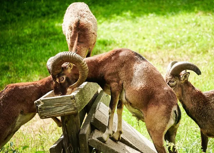 Wastlhof Am Kreischberg Appartamento