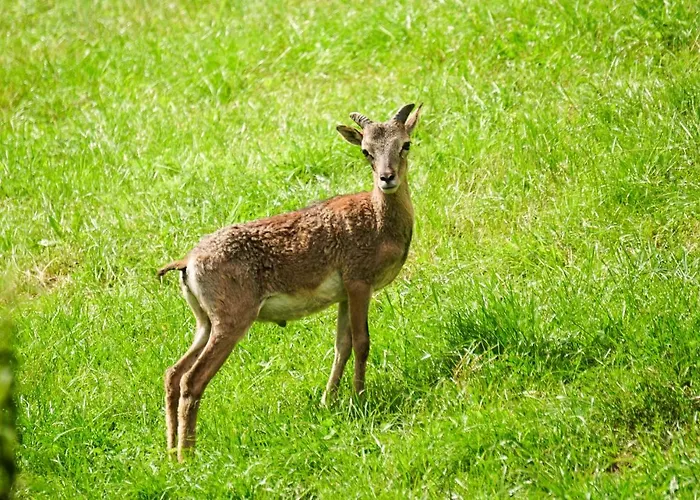 Wastlhof Am Kreischberg Lutzmannsdorf