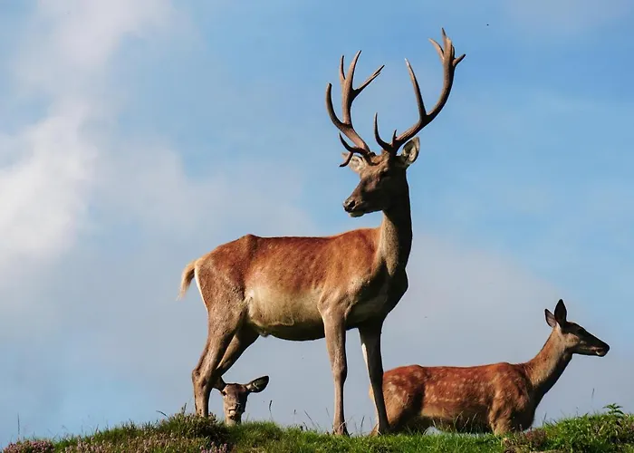 Apartment Wastlhof Am Kreischberg Lutzmannsdorf