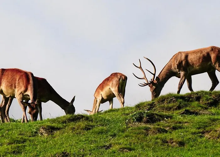 Wastlhof Am Kreischberg *